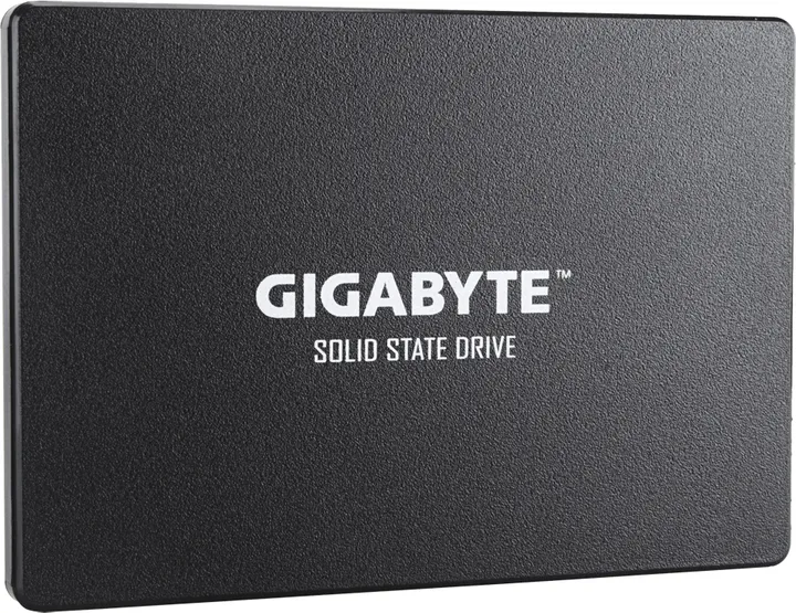 SSD накопичувач GIGABYTE  1TB (GP-GSTFS31100TNTD)