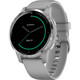 Смарт-часы Garmin Vivoactive 4S Powder Gray with Silver (010-02172-03)