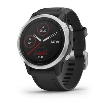 Смарт-годинник Garmin Fenix 6S Silver with Black Band (010-02159-01)