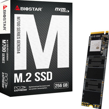 SSD накопичувач BIOSTAR 256GB PCI-E (M720-256GB)