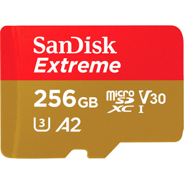 Карта памяти SanDisk 256GB C10 UHS-I U3 (SDSQXAV-256G-GN6MN)