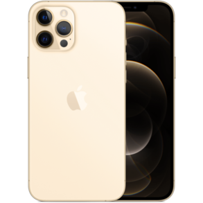 Смартфон Apple iPhone 12 Pro Max 256GB Gold (MGDE3)