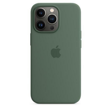 Чохол-накладка Apple iPhone 13 Pro Silicone Case with MagSafe - Eucalyptus (MN673)