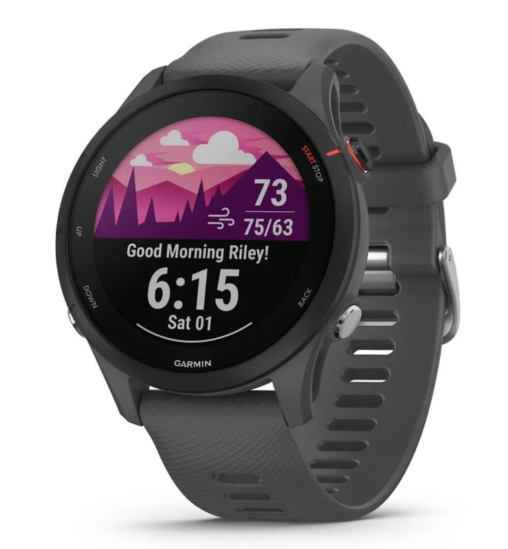 Смарт-часы Garmin Forerunner 255 Slate (010-02641-43)