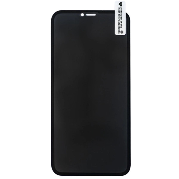 Защитное стекло iPhone X/11 Pro XO series FP3 Black
