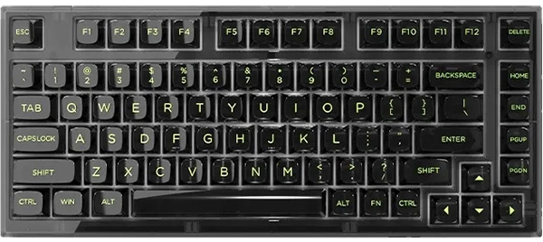 Клавиатура Q75 SAM Black Transparent Body Dark Ice keycap Kailh MX Cool Mint switch (Q75SAM-5774)