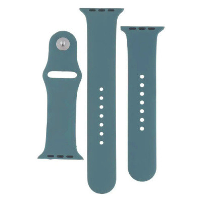 Ремінець Apple Watch Band Silicone Two-Piece 42/44/45/49 mm (65 Cactus color)