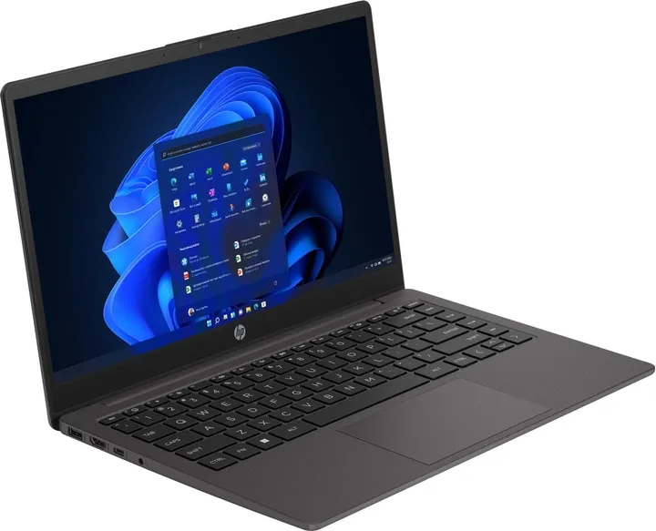 Ноутбук HP 245 G10 (817V7EA) купити