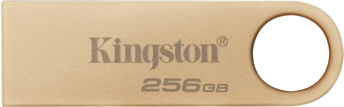 Флеш память USB Kingston 256GB DataTraveler SE9 Gen 3 Gold (DTSE9G3/256GB)