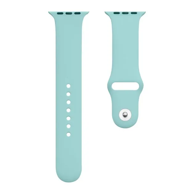 Ремінець Band Apple Watch Silicone Classic 38/40/41mm 50.Spearmint