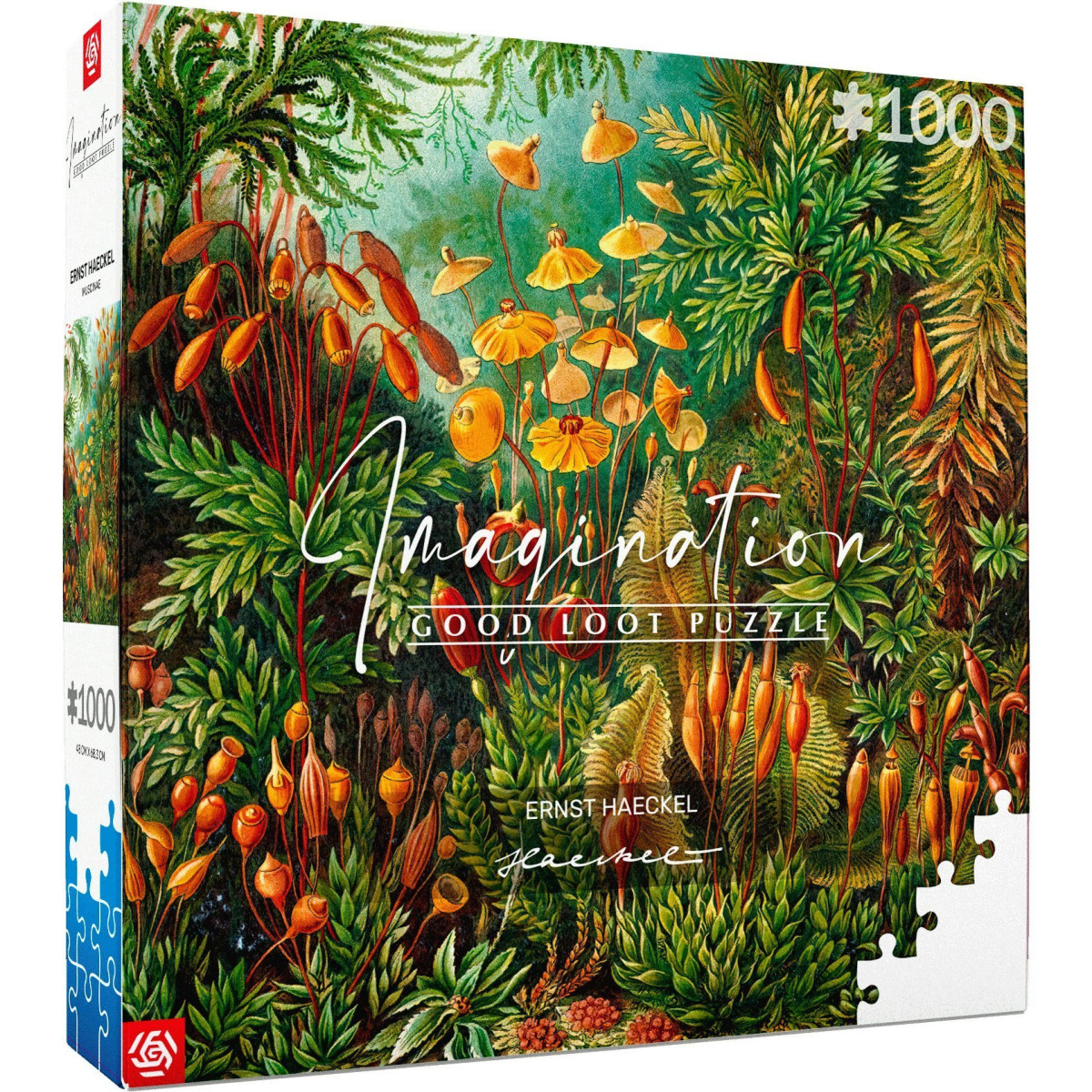 Пазлы Изображение: Ernst Haeckel Muscinae Puzzles 1000 эл.