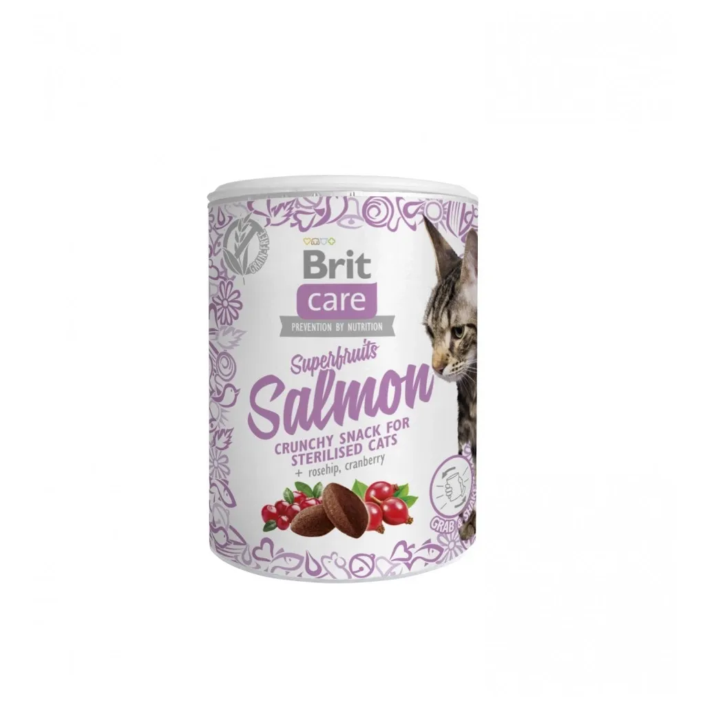 Лакомство для кошек Brit Care Cat Snack Superfruits Salmon 100 г (8595602521449)