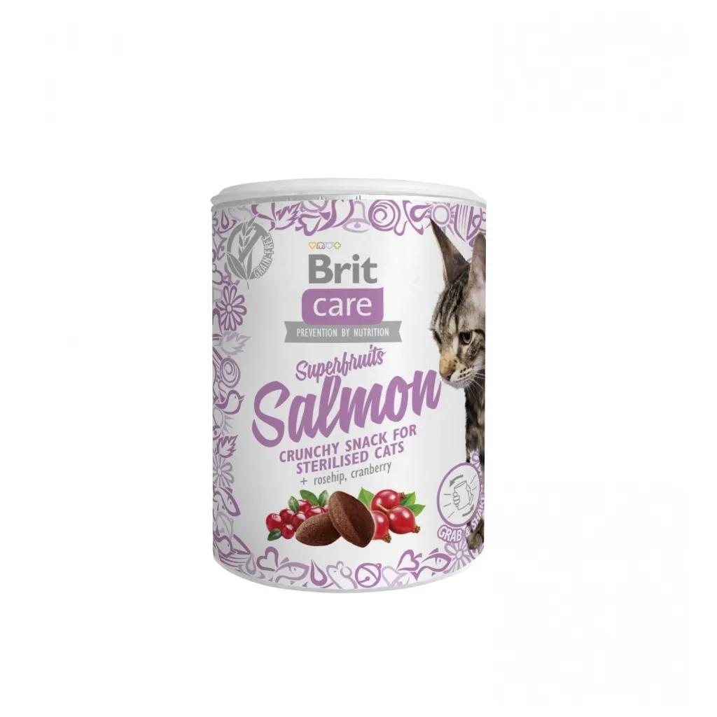 Ласощі для котів Brit Care Cat Snack Superfruits Salmon 100 г (8595602521449)