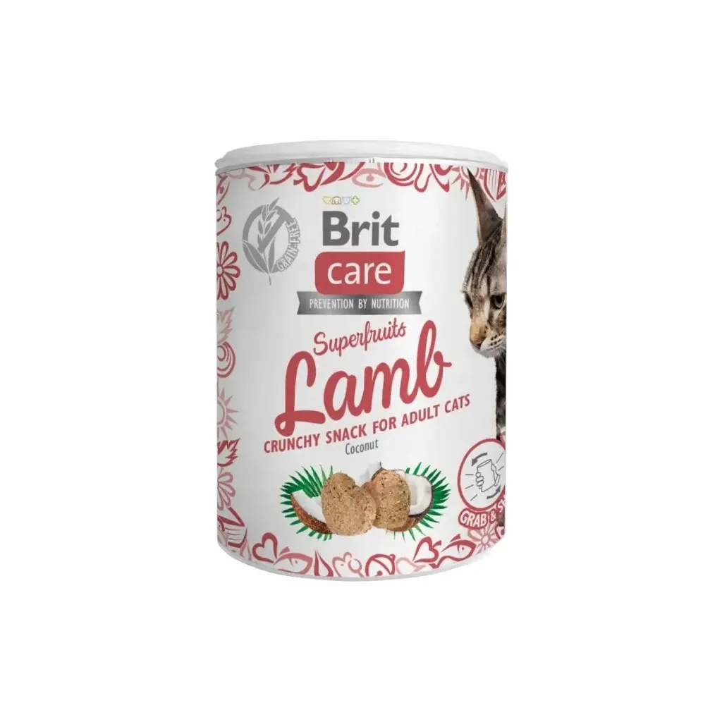 Лакомство для кошек Brit Care Superfruits Lamb 100 г - ягнёнок (8595602555697)