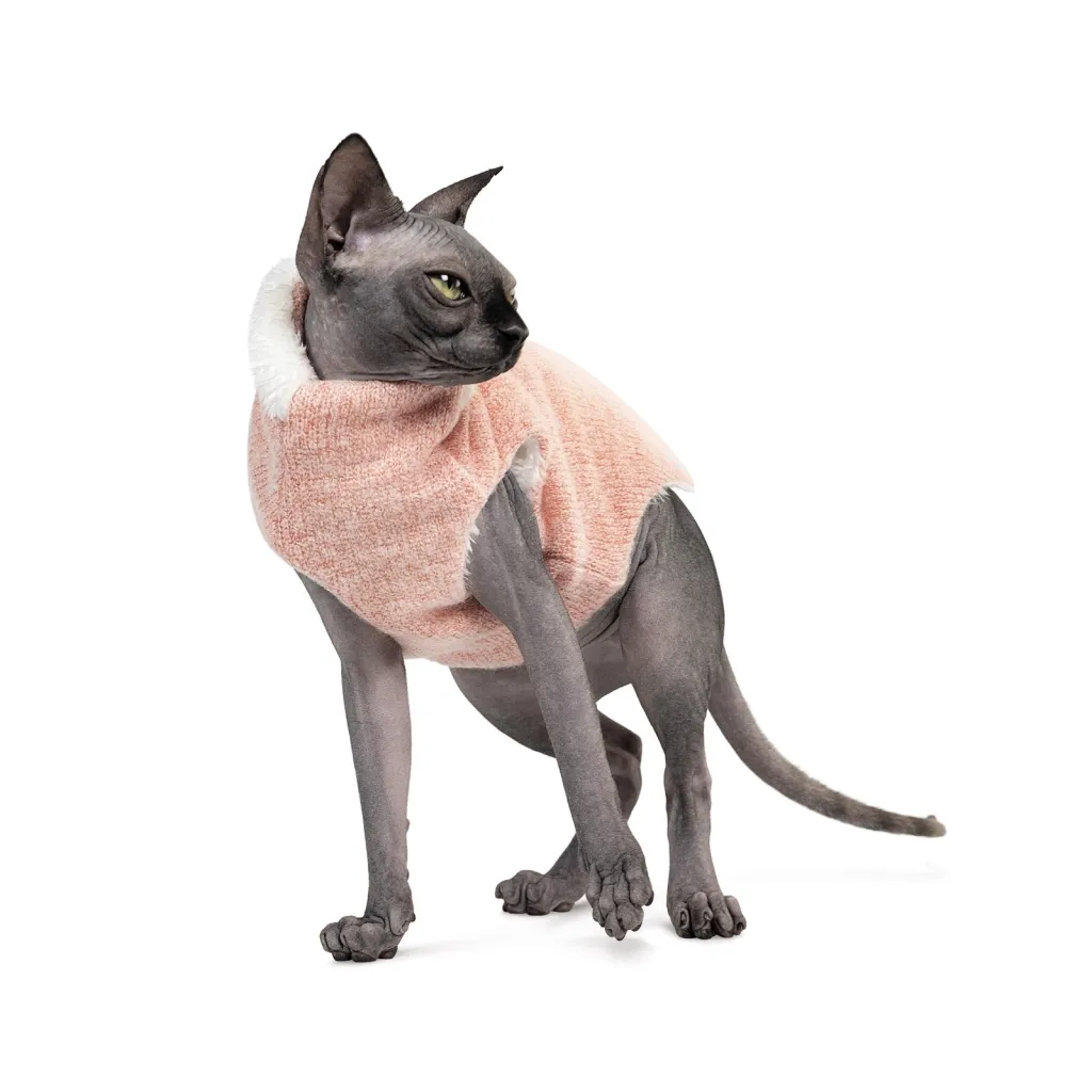 Свитер для животных Pet Fashion CAT L персик (4823082429707)