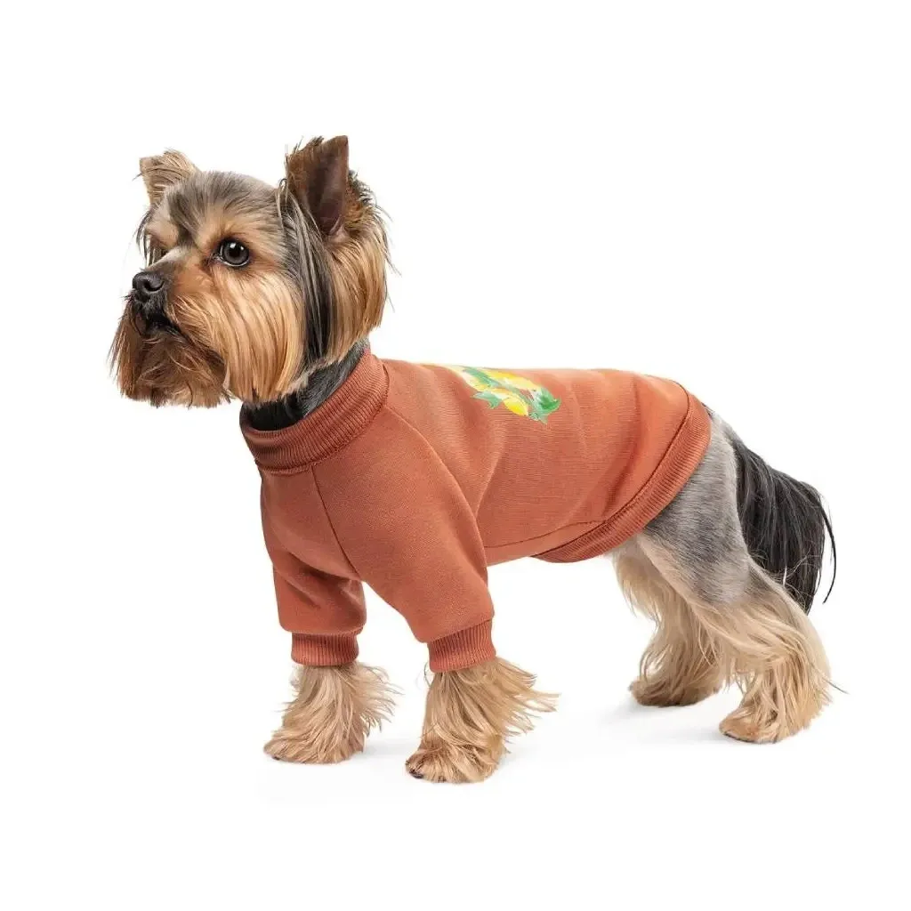 Толстовка для животных Pet Fashion Miley XS2 (4823082434718)