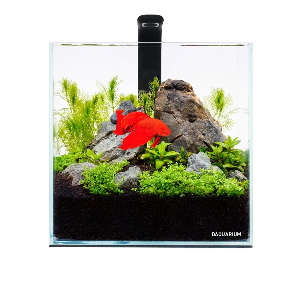 Акваріум Aqualighter набір DAQUARIUM Pico Set 170 мм 5 л (7141)