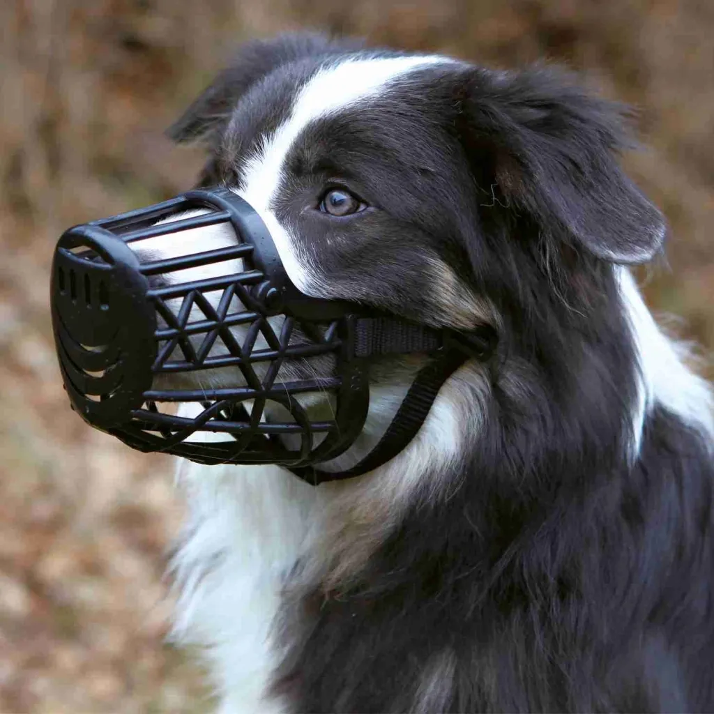 Намордник для собак Trixie пластиковий пуделя M 20 см (4011905176031)