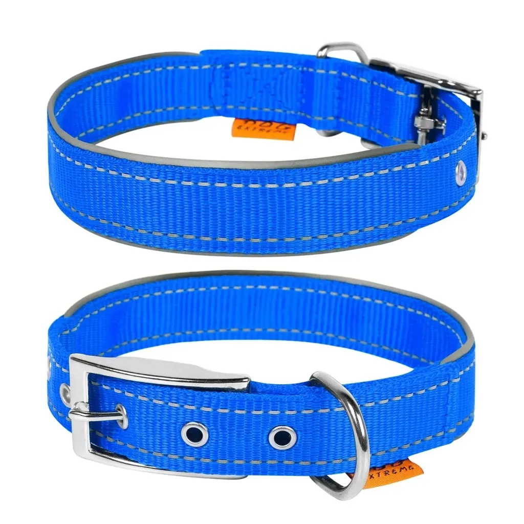 Ошейник для животных Collar Dog Extremе 25 мм 38-48 см (голубой) (67042)