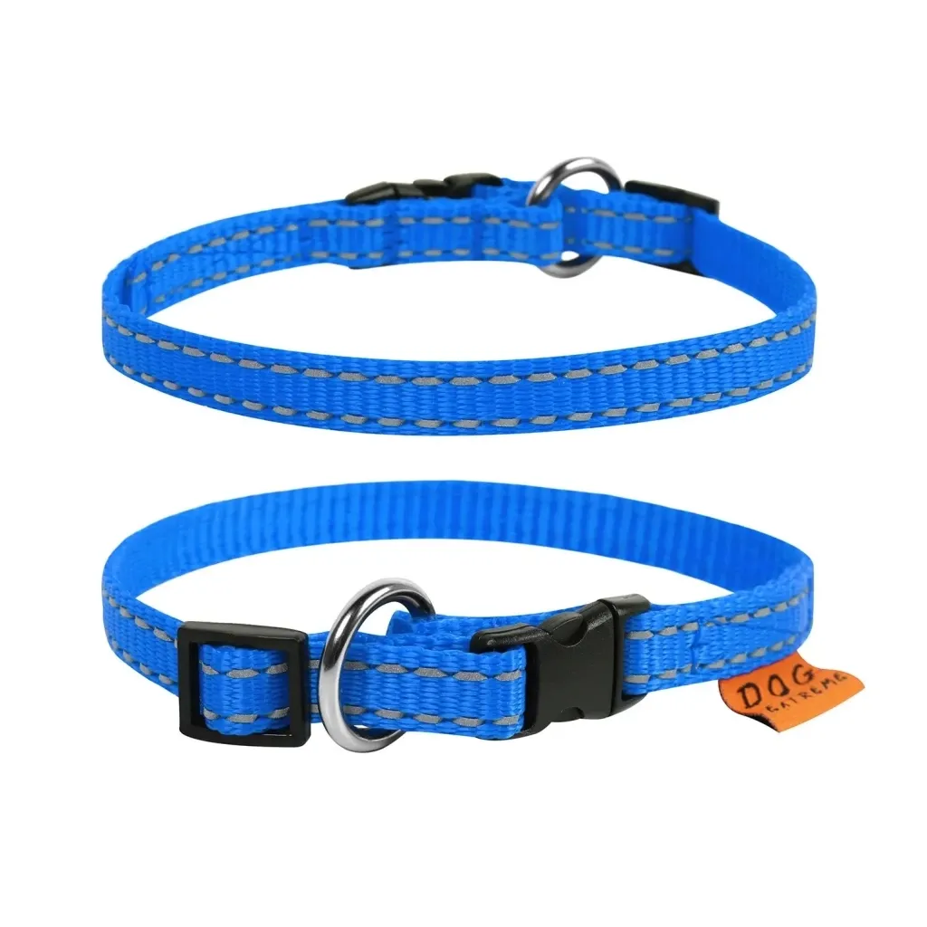 Нашийник для тварин Collar Dog Extremе 10 мм 20-30 см (голубий) (42842)