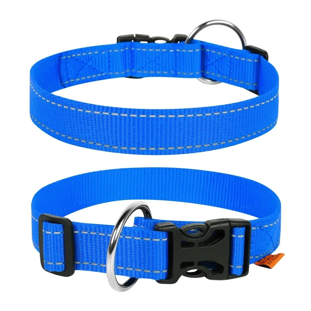 Ошейник для животных Collar Dog Extreme 25 мм 31-49 см (голубой) (02522)