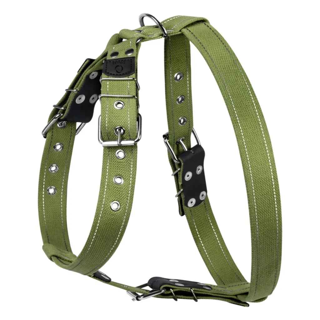  Collar великих N2 68-91 см зелена (0646)