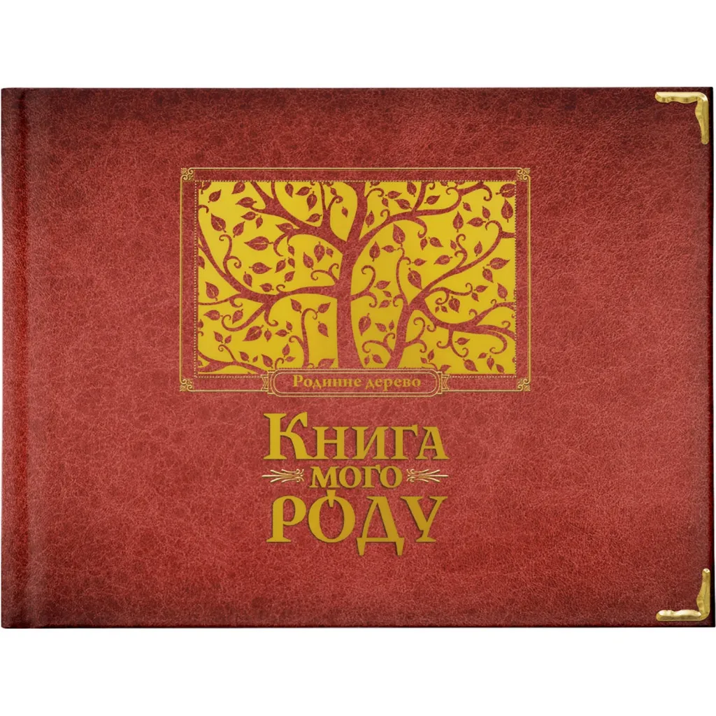 Книга мого роду. Родинне дерево - Ірина Мацко Видавництво Старого Лева (9789662909890)