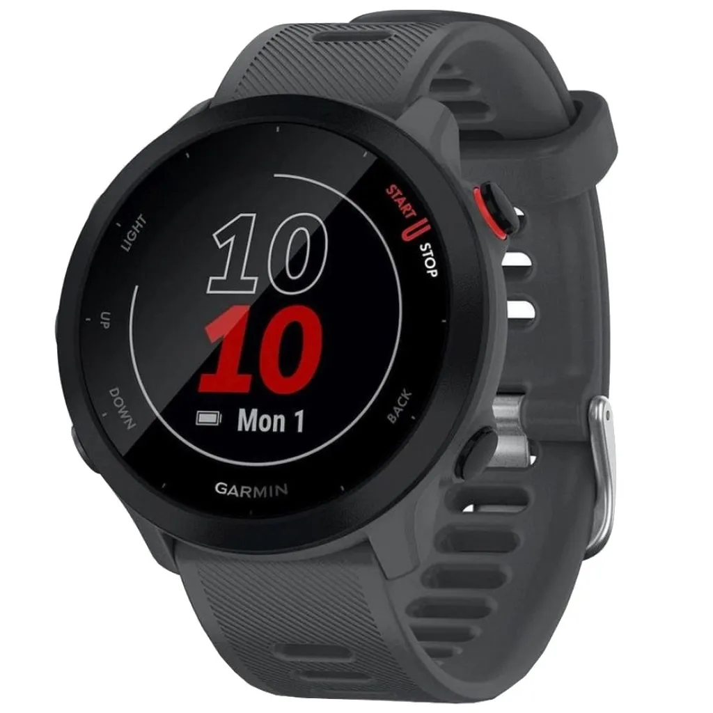 Смарт-годинник Garmin Forerunner 55 Monterra Grey (010-02562-13)