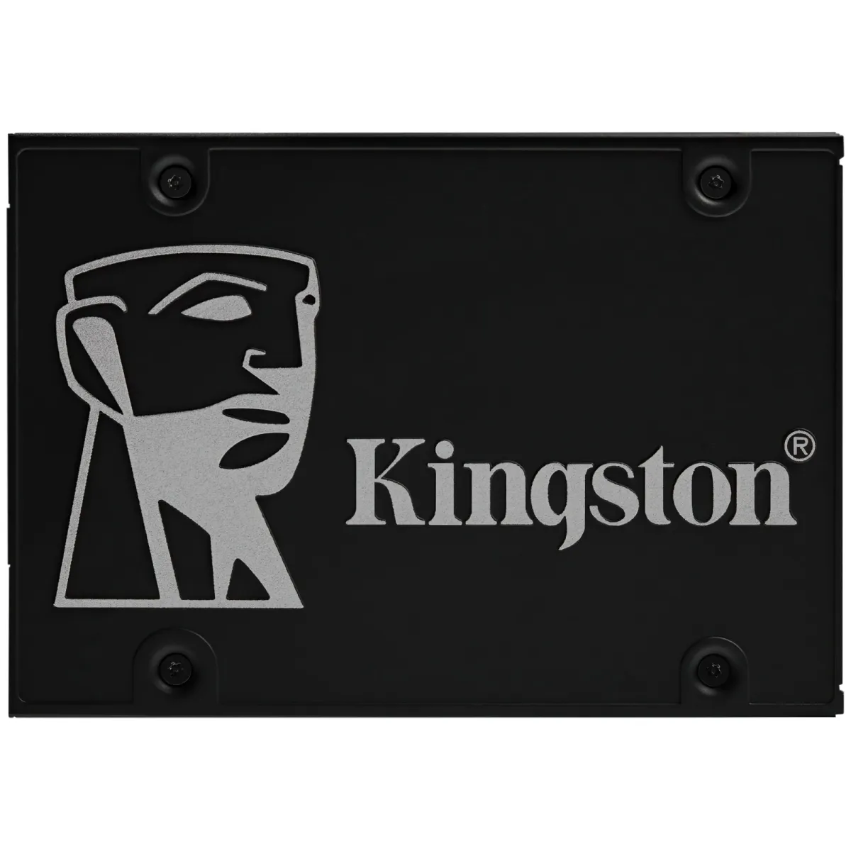 SSD накопичувач Kingston SSD 2.5" 256GB (OCP0S3256B-A0)