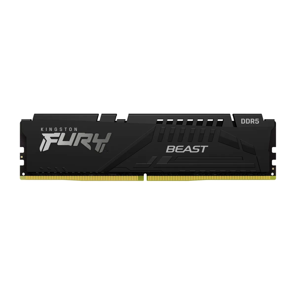 Оперативна пам'ять Kingston 16GB DDR5 6000 MHz Beast Black XMP (KF560C30BB-16)