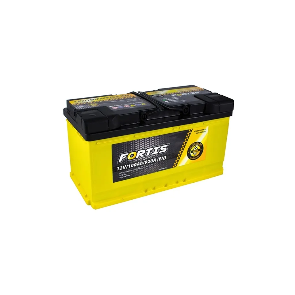  FORTIS 100 Ah/12V Euro (FRT100-00)