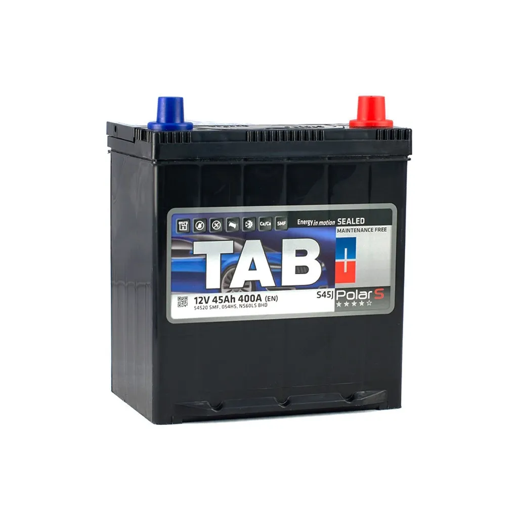  TAB 45 Ah/12V Polar S (246 845)