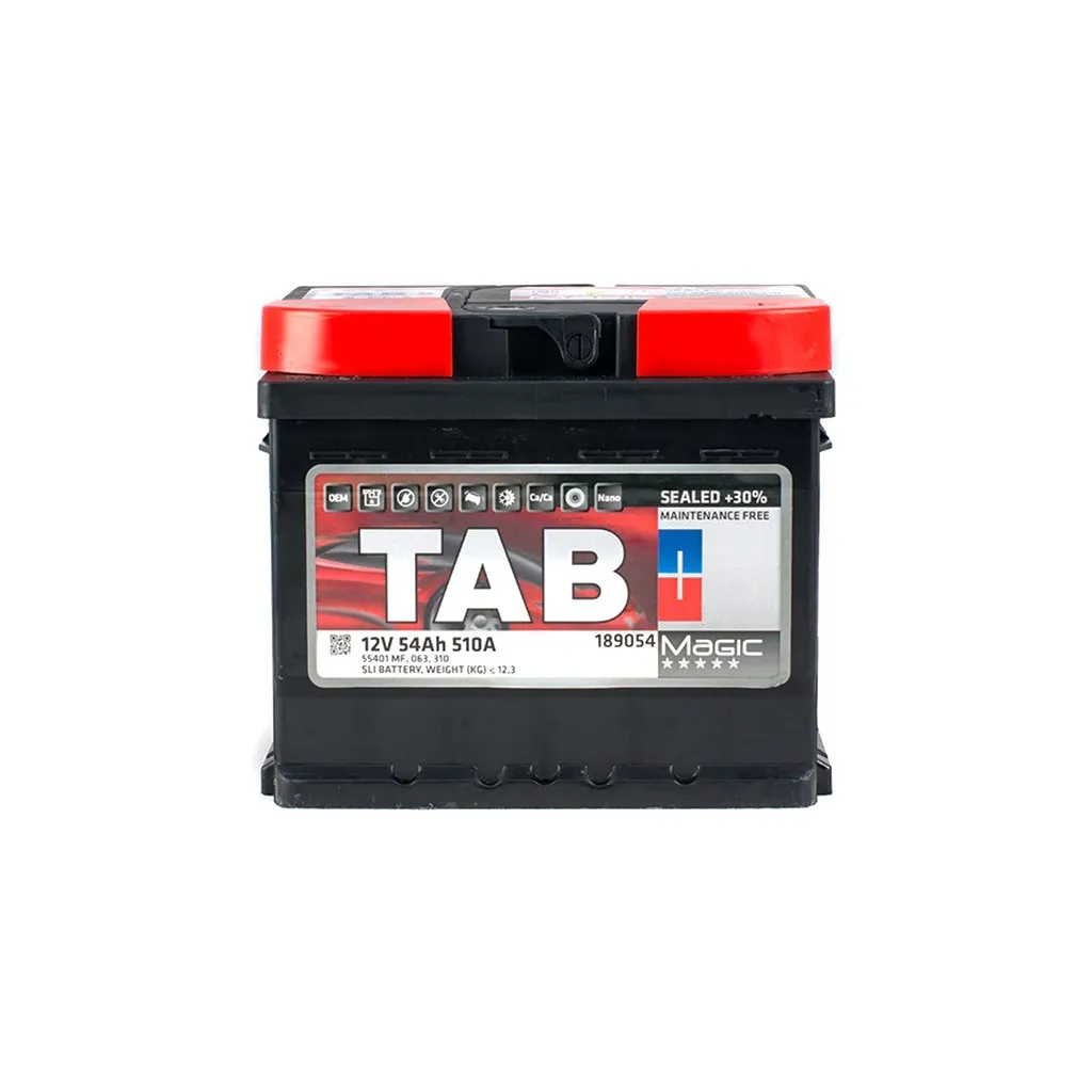  TAB 54 Ah/12V Magic Euro (189 054)