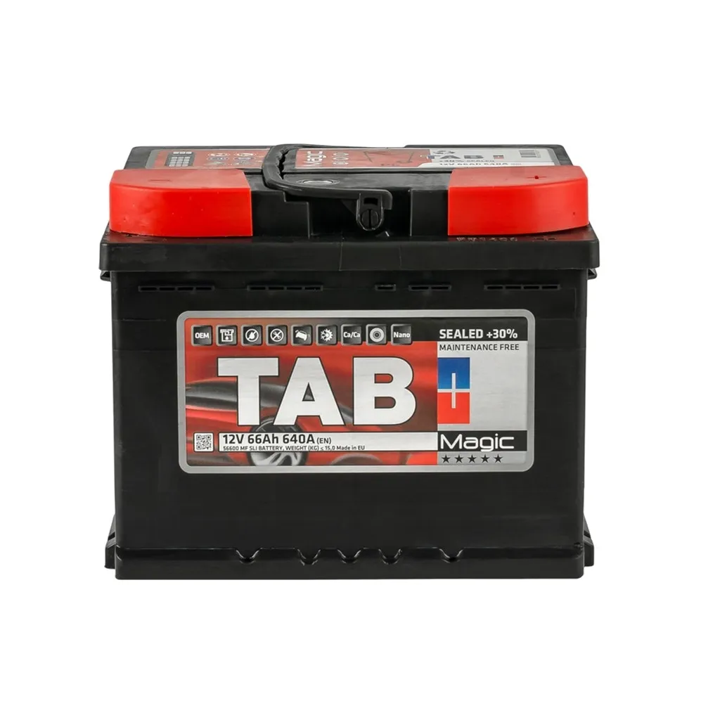  TAB 66 Ah/12V Magic Euro (189 065)