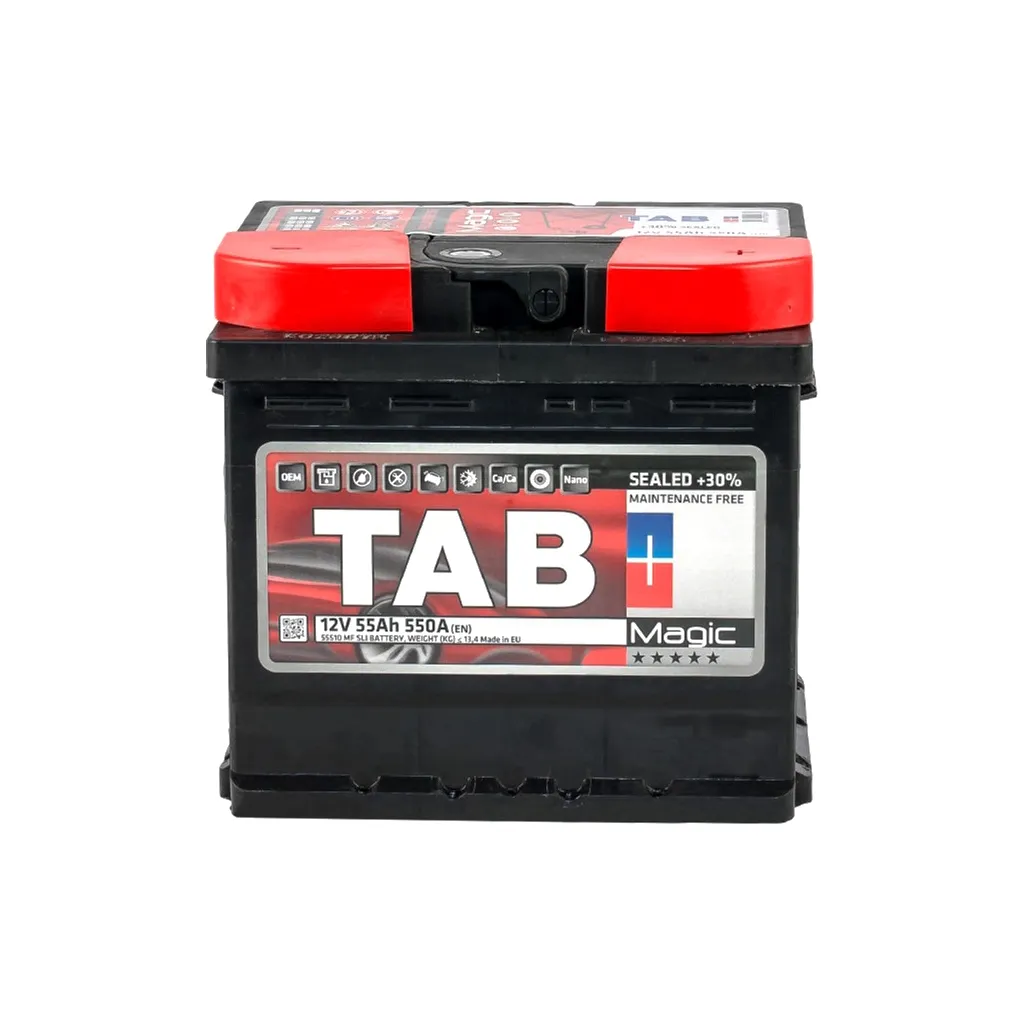  TAB 55 Ah/12V Magic Euro (189 058)