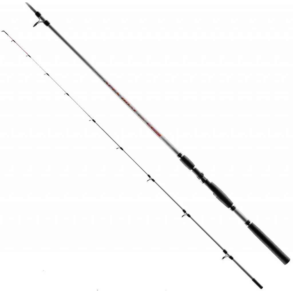 Спінінг, вудка Brain fishing Apex Boat 2.40m max 250g (1858.41.95)