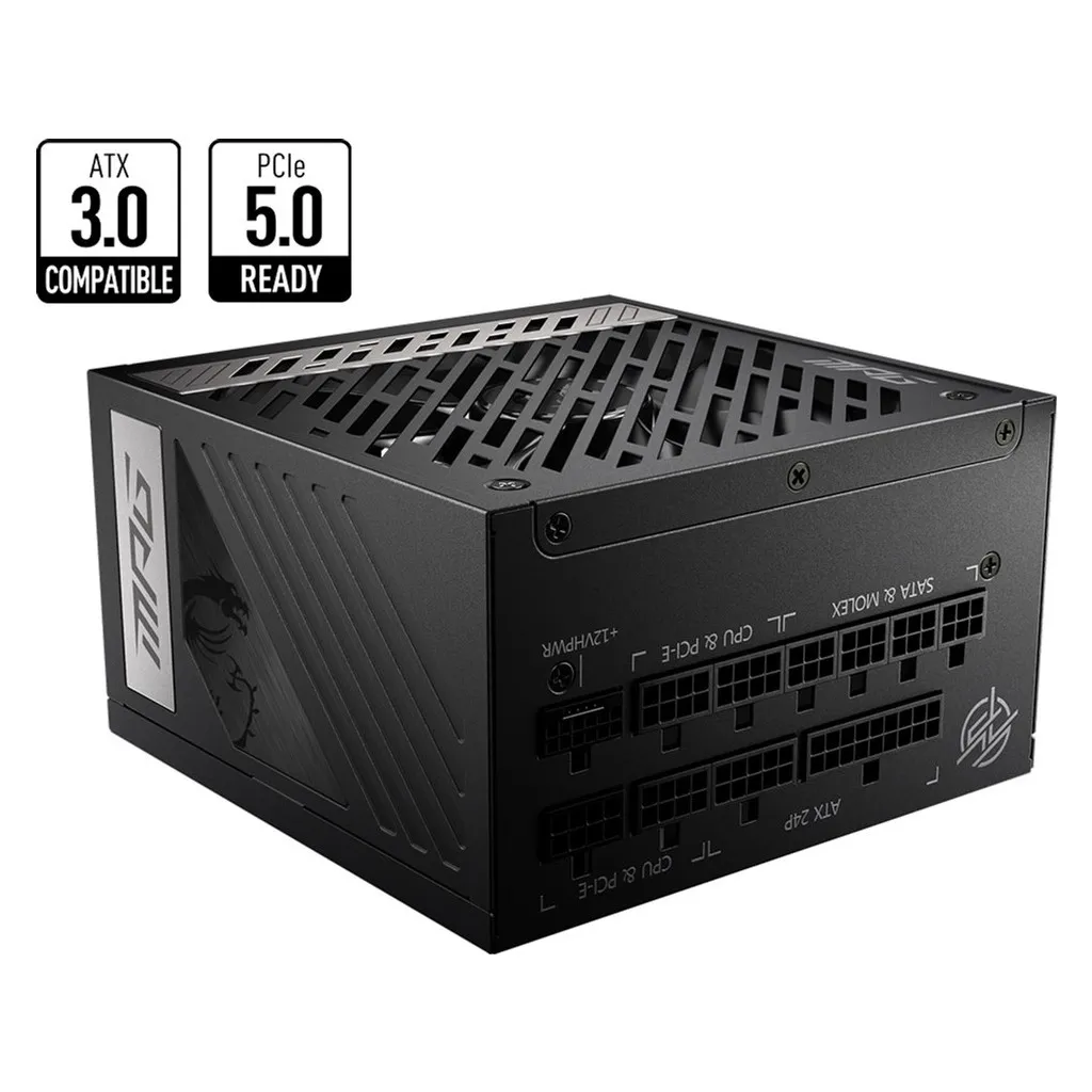  MSI 1000W (MPG A1000G PCIE5)