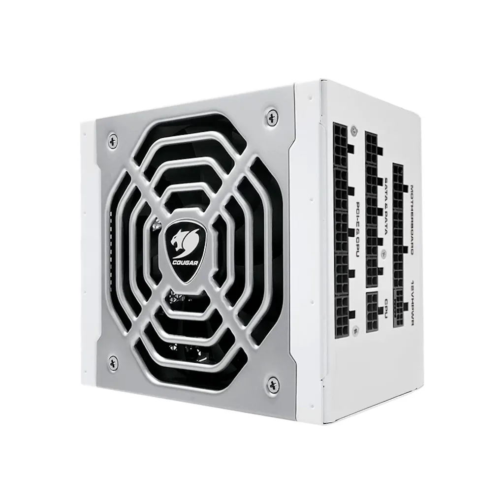  Cougar 1050W (POLAR X2 1050)