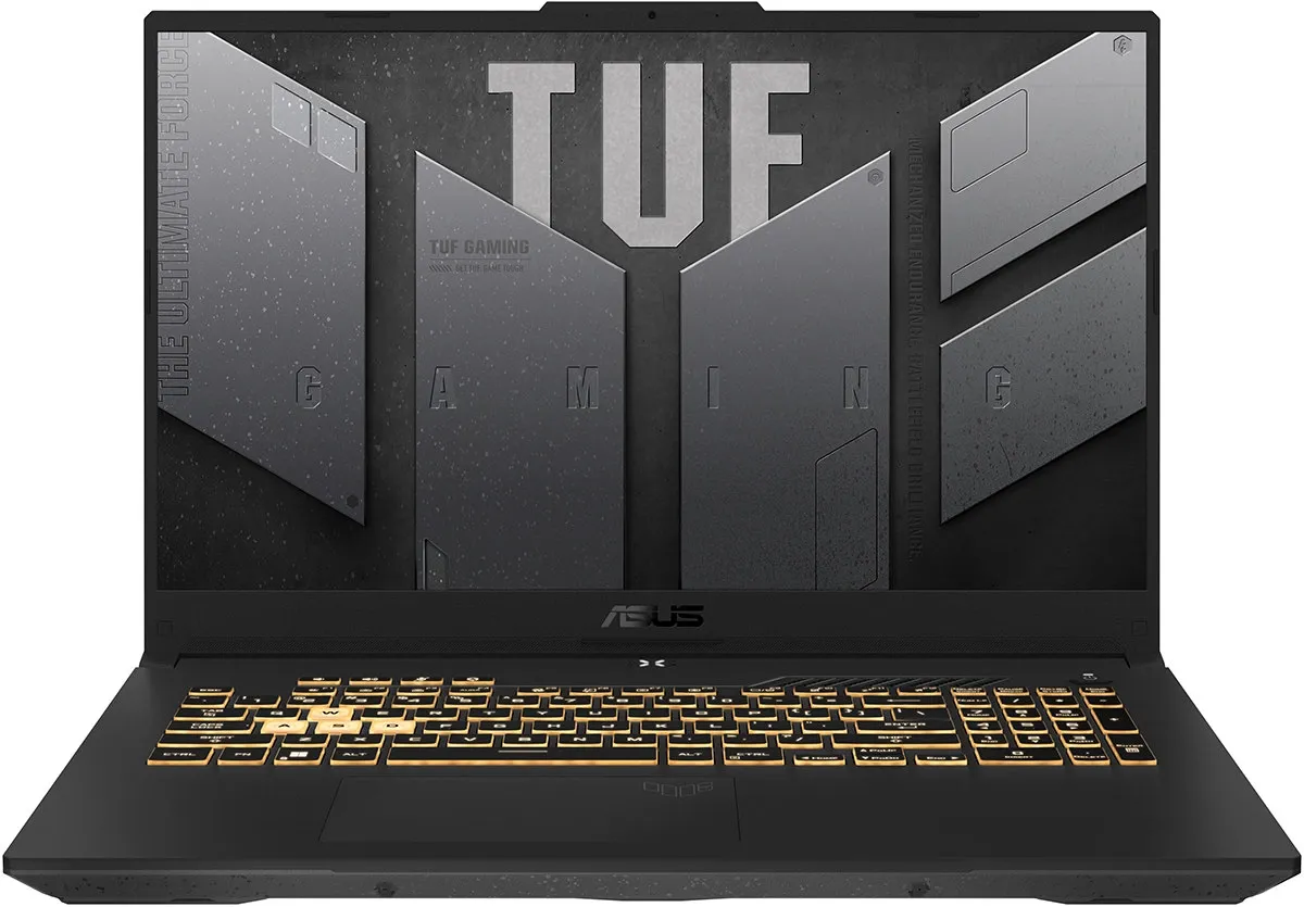 Игровой ноутбук ASUS TUF F17 FX707VI-LL100 Mecha Gray (90NR0FI5-M006M0)