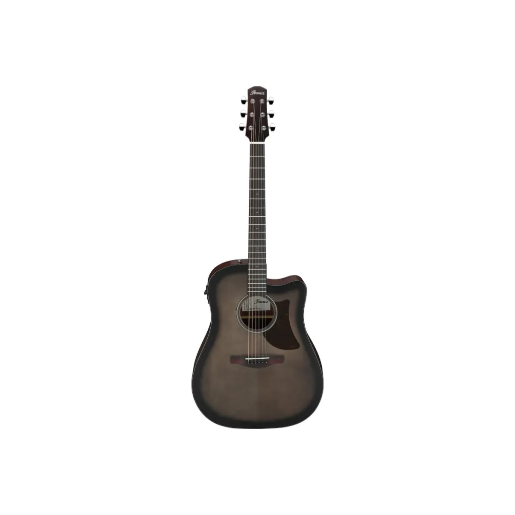  Ibanez AAD50CE-TCB (234926)