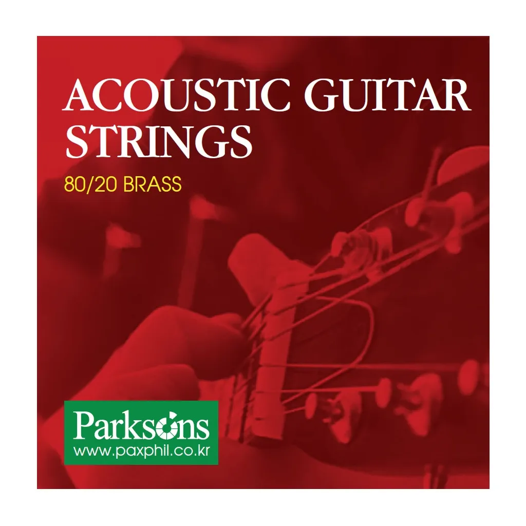 Струни для гітари Parksons Acoustic XL (10-48) (S1048)