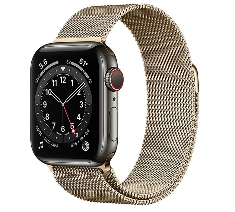 Смарт-годинник Apple Watch Series 6 GPS + Cellular 40mm Graphite S. Steel Case with Gold Milanese Loop (M0DF3/M0DW3)