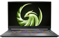 Ноутбук MSI Alpha 17 A4DEK (A4DEK-021US)